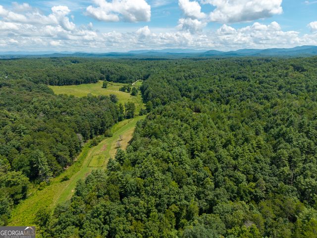 0 White Pine Road, Mccaysville, GA 30555