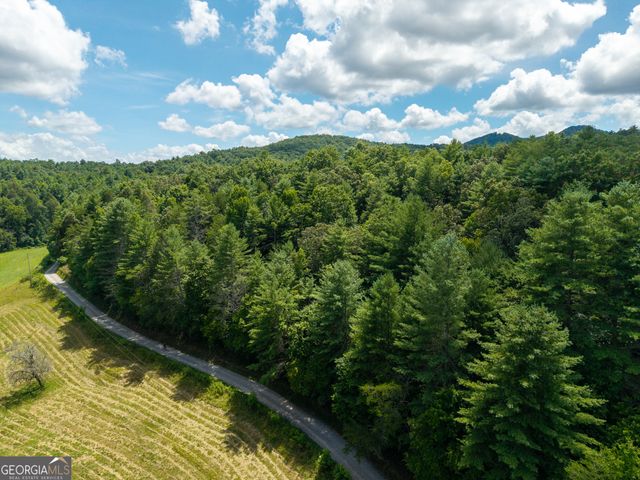 0 White Pine Road, Mccaysville, GA 30555