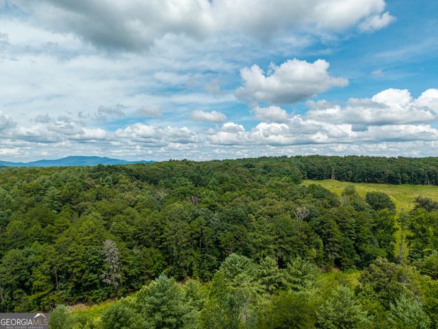 0 White Pine Road, Mccaysville, GA 30555