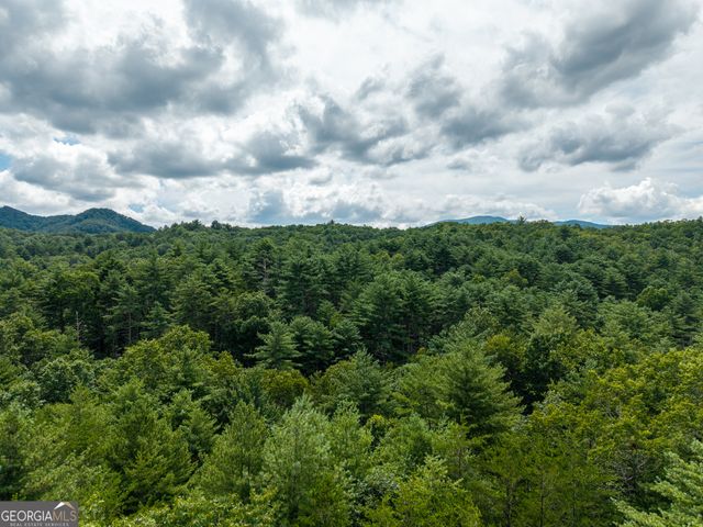 0 White Pine Road, Mccaysville, GA 30555