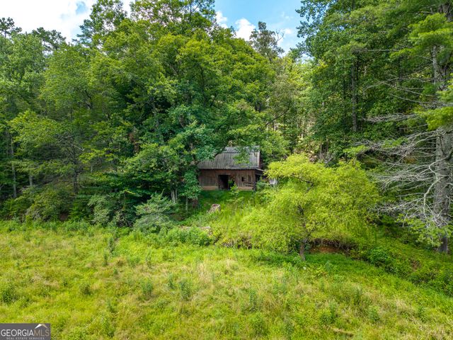 0 White Pine Road, Mccaysville, GA 30555