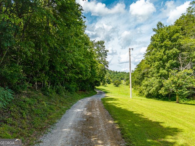 0 White Pine Road, Mccaysville, GA 30555