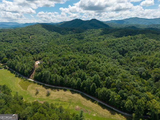 0 White Pine Road, Mccaysville, GA 30555
