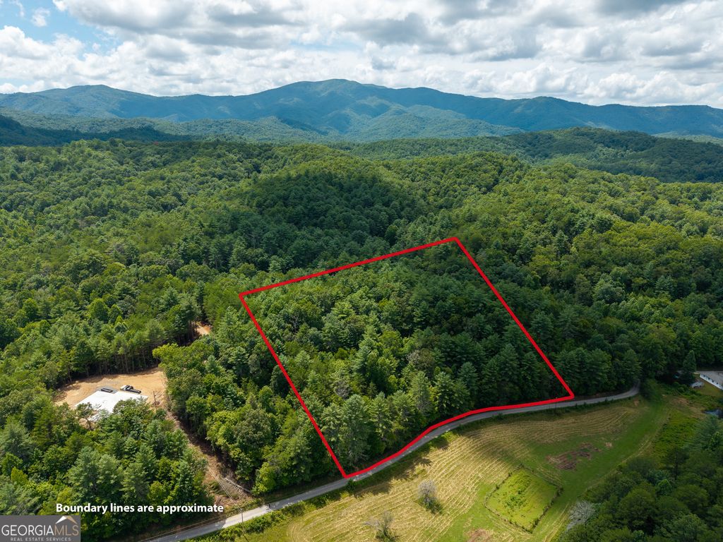 0 White Pine Road, Mccaysville, GA 30555