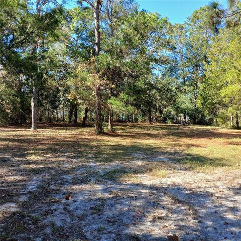 7050 S SONATA AVENUE, Homosassa, FL 34446