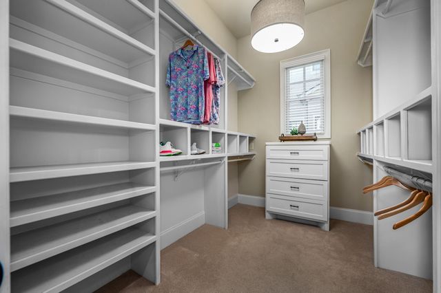 6054 Pelican Way, College Grove, TN 37046