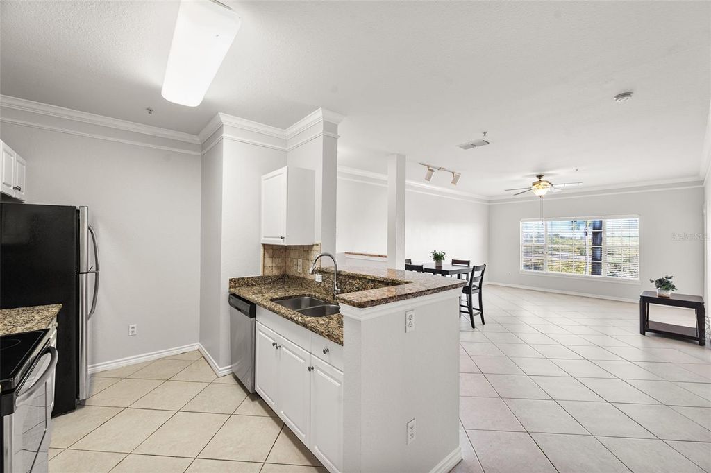 Image 23 of property listing at 4305 BAYSIDE VILLAGE DRIVE 202, Tampa, FL 33615