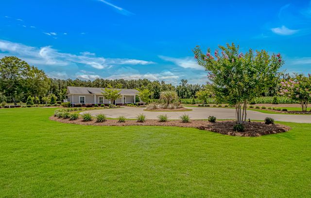 15810 County Line Rd., Andrews, SC 29510