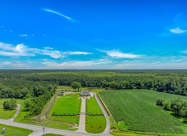 15810 County Line Rd., Andrews, SC 29510