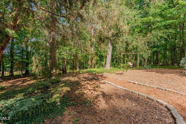 4234 New Hope Springs Drive, Hillsborough, NC 27278