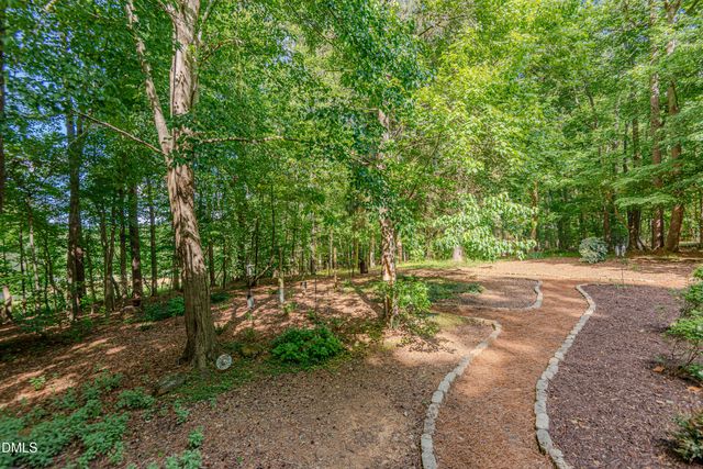 4234 New Hope Springs Drive, Hillsborough, NC 27278