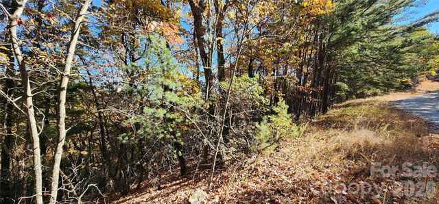 Lot 22 A Pinnacle Parkway 22 A, Union Mills, NC 28167