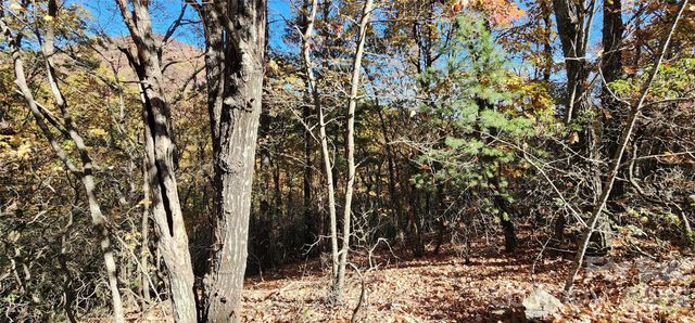 Lot 22 A Pinnacle Parkway 22 A, Union Mills, NC 28167