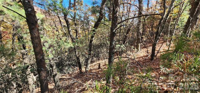Lot 22 A Pinnacle Parkway 22 A, Union Mills, NC 28167