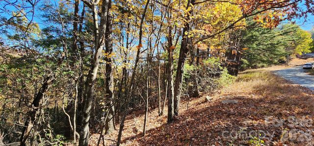 Lot 22 A Pinnacle Parkway 22 A, Union Mills, NC 28167
