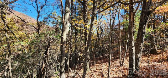 Lot 22 A Pinnacle Parkway 22 A, Union Mills, NC 28167