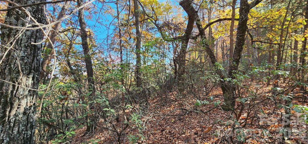 Lot 22 A Pinnacle Parkway 22 A, Union Mills, NC 28167