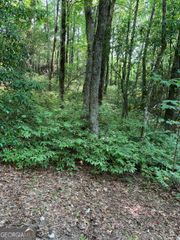 0 Maple Leaf Drive TRACT 6, Dillard, GA 30537