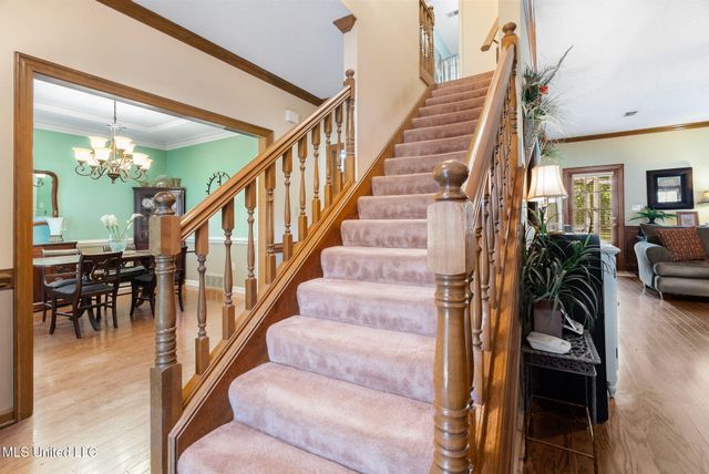 3030 Dove Hill Cove, Olive Branch, MS 38654