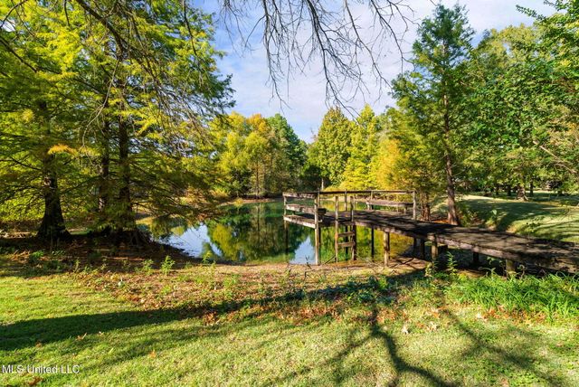 3030 Dove Hill Cove, Olive Branch, MS 38654
