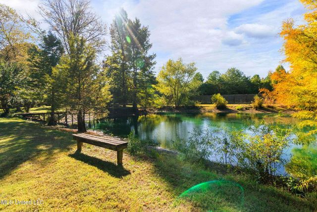 3030 Dove Hill Cove, Olive Branch, MS 38654