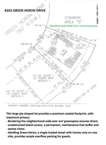 4203 Green Heron Drive, Galveston, TX 77554