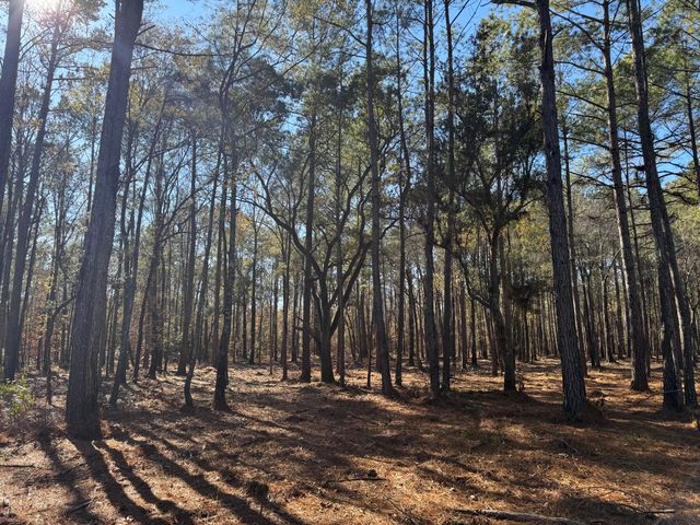 263 Brewer Road, Summerville, SC 29483