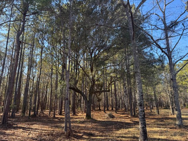 263 Brewer Road, Summerville, SC 29483