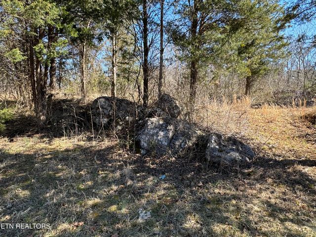 W Union Valley Rd, Seymour, TN 37865