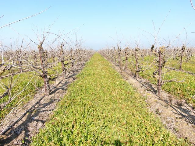 3587 W Sargent Rd, Lodi, CA 95242