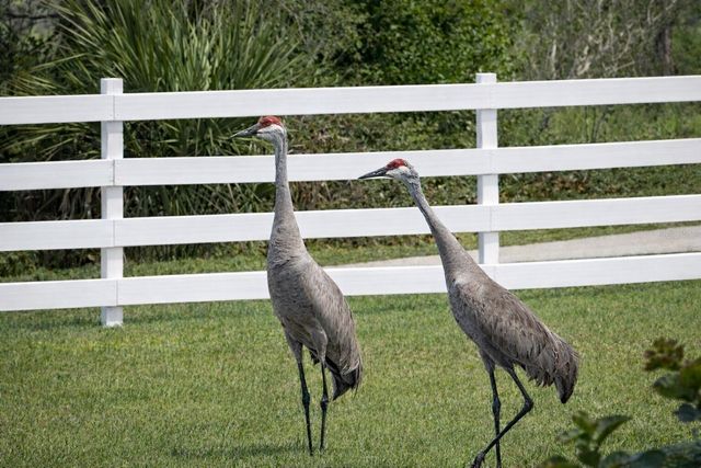 33015 SAHARA COURT, Sorrento, FL 32776