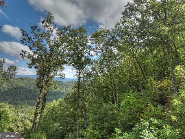 LOT 25 Utana Bluffs Trail, Ellijay, GA 30540
