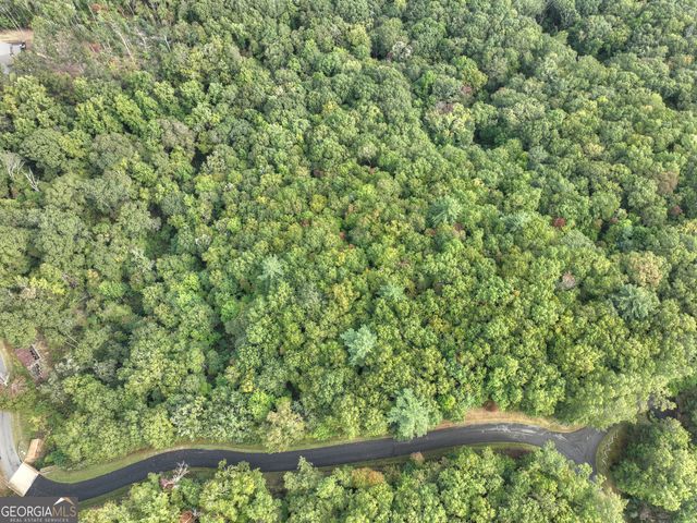 LOT 25 Utana Bluffs Trail, Ellijay, GA 30540