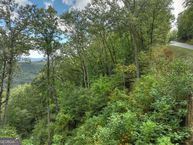 LOT 25 Utana Bluffs Trail, Ellijay, GA 30540
