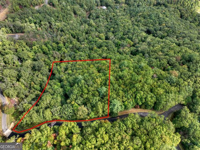 LOT 25 Utana Bluffs Trail, Ellijay, GA 30540