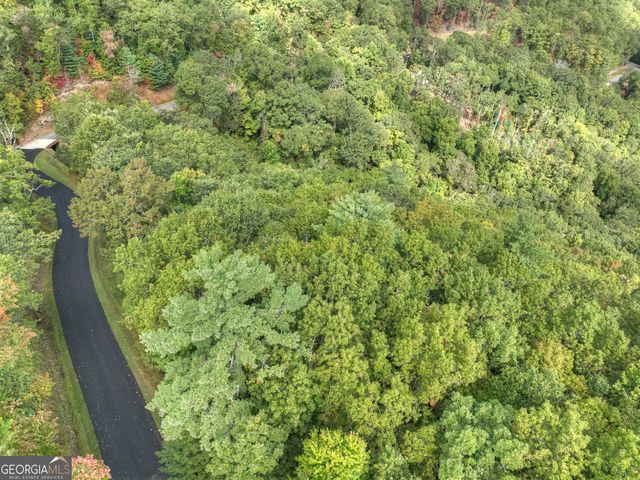 LOT 25 Utana Bluffs Trail, Ellijay, GA 30540