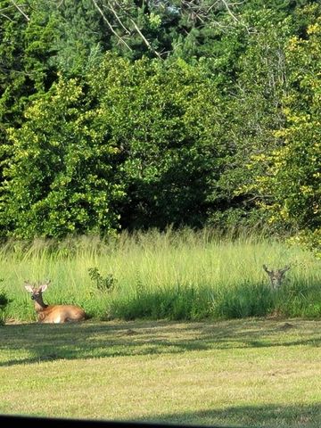 13310 Fishmarket Road, Mcloud, OK 74851