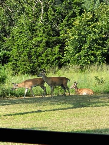 13310 Fishmarket Road, Mcloud, OK 74851