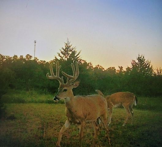 13310 Fishmarket Road, Mcloud, OK 74851