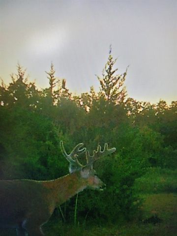 13310 Fishmarket Road, Mcloud, OK 74851