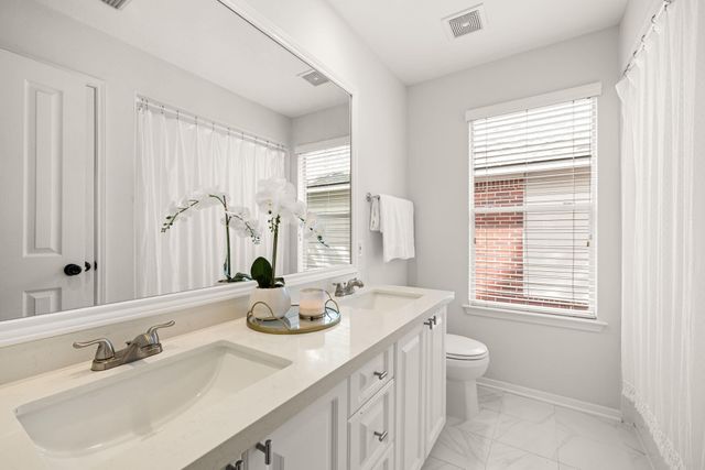 10 Pine Island Place, The Woodlands, TX 77382