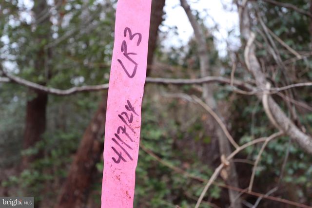 LOTS 2-6 AND 11-16 PENGUIN PL, Bryans Road, MD 20616