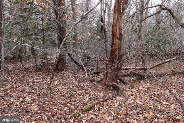 LOTS 2-6 AND 11-16 PENGUIN PL, Bryans Road, MD 20616