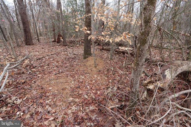 LOTS 2-6 AND 11-16 PENGUIN PL, Bryans Road, MD 20616