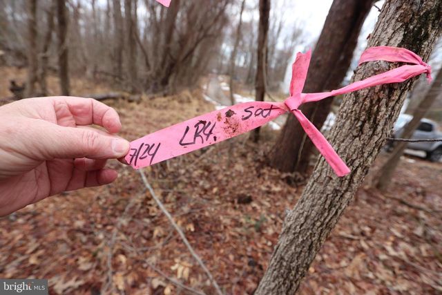 LOTS 2-6 AND 11-16 PENGUIN PL, Bryans Road, MD 20616