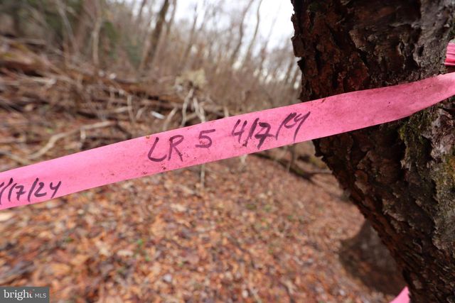 LOTS 2-6 AND 11-16 PENGUIN PL, Bryans Road, MD 20616