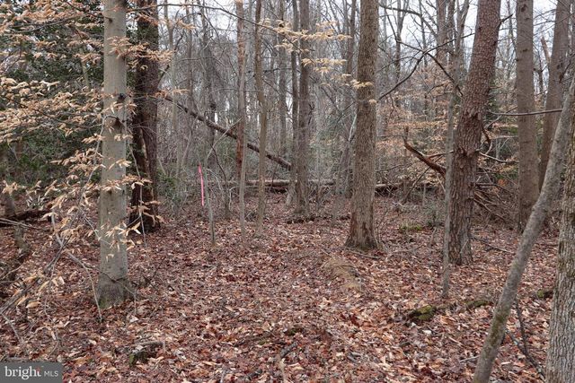 LOTS 2-6 AND 11-16 PENGUIN PL, Bryans Road, MD 20616