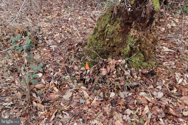 LOTS 2-6 AND 11-16 PENGUIN PL, Bryans Road, MD 20616