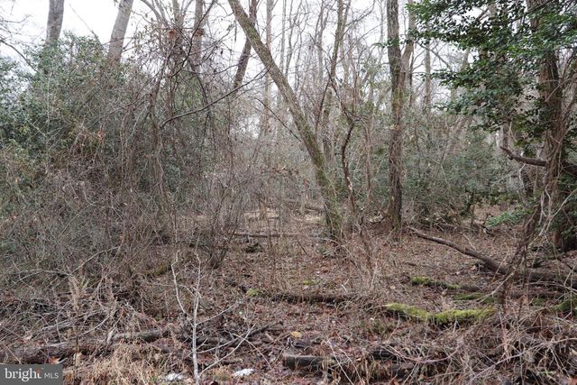 LOTS 2-6 AND 11-16 PENGUIN PL, Bryans Road, MD 20616