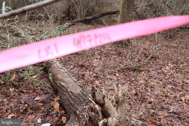 LOTS 2-6 AND 11-16 PENGUIN PL, Bryans Road, MD 20616